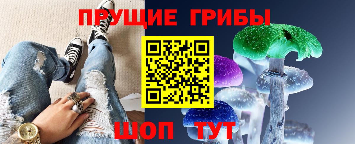 Зеленогорск  Галлюциногенные грибы ЛСД  Вход с VPN  Псилоцибиновые грибы ЛСД 